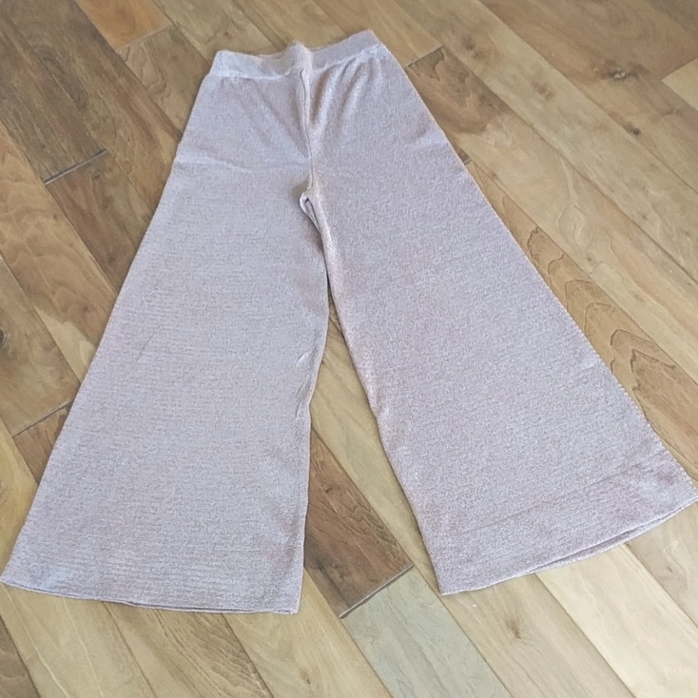 Urban outfitters high waisted wide leg pant